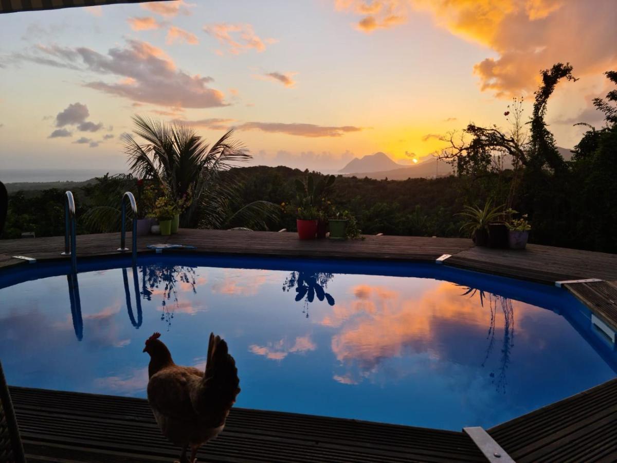 Chambre Chez L'Habitant Avec Piscine Privative Et Vue Panoramique Sur La Mer Des Caraibes Desmarinieres Екстериор снимка